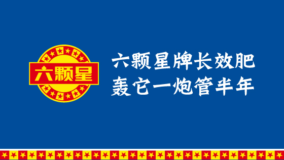 六颗星