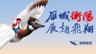 城市品牌案例 02
